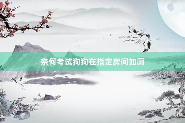 奈何考试狗狗在指定房间如厕
