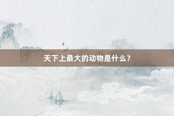 天下上最大的动物是什么?
