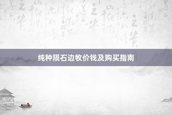 纯种陨石边牧价钱及购买指南